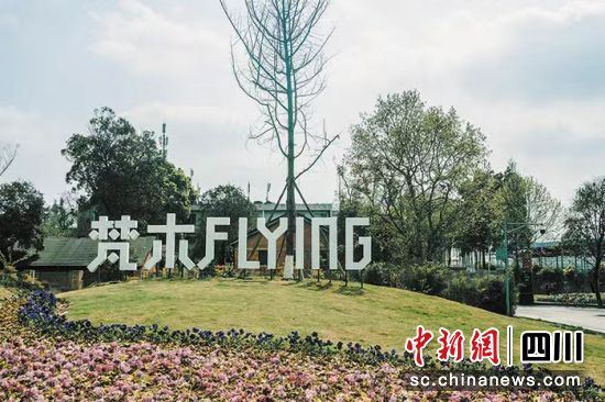 聚焦建圈强链 积蓄武侯文创新势能