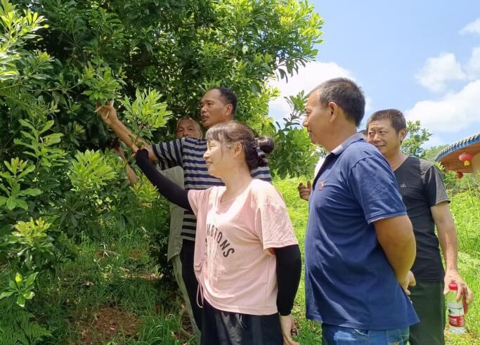 福建建阳：花园岭中的新时代乡村振兴新篇章
