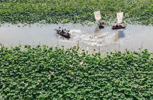 合肥等中国7个城市荣获第二批国际湿地城市称号