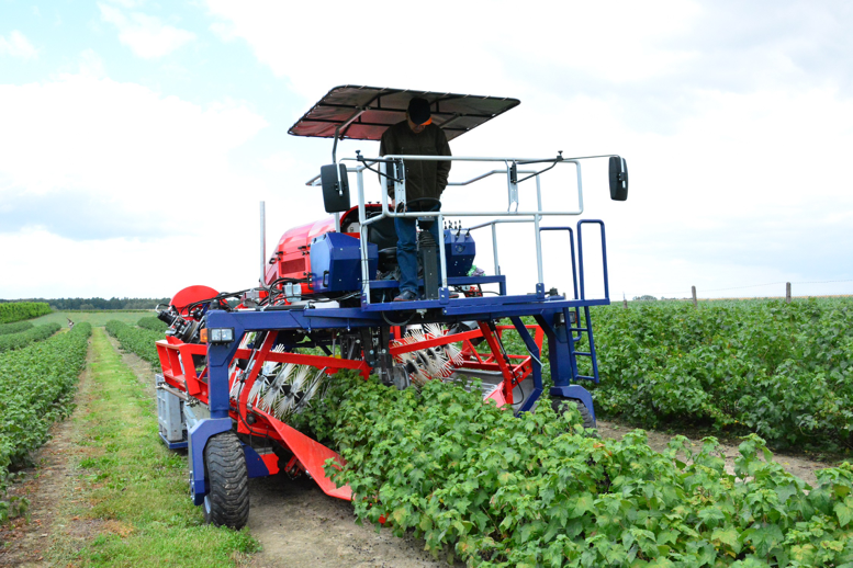 波兰多举措稳定农业生产