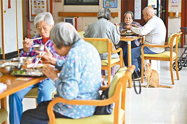 粵立法放權南沙深化與港澳合作