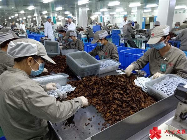 來論｜廣東製造業「大塊頭有大擔當」　與港澳聯動發展