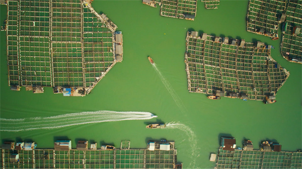 时政微视频丨瞰福建