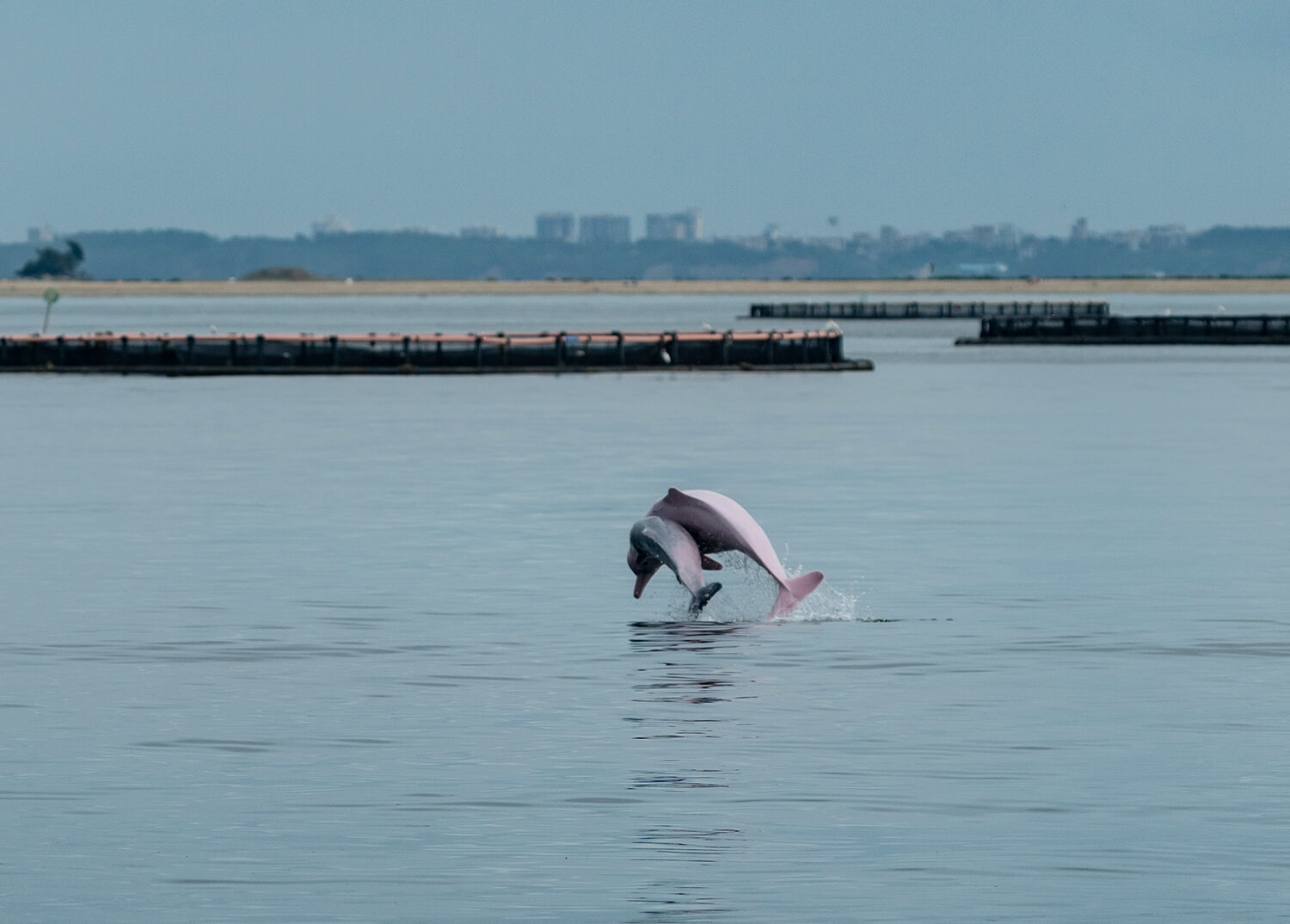 心有繁星，沐光而行｜南方日报、南方+2024年度照片