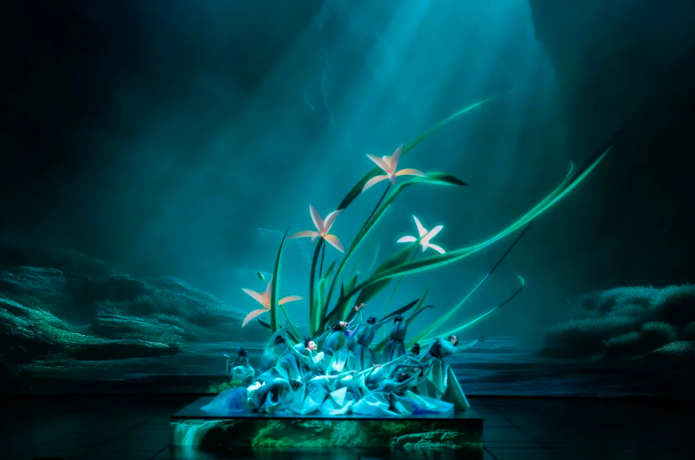 舞影绘天地，春晚舞蹈自有万物心跳