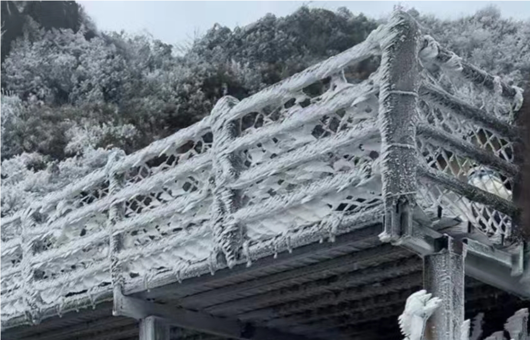 好美！清远金子山被冷空气一键 “速冻” 成冰雪仙境