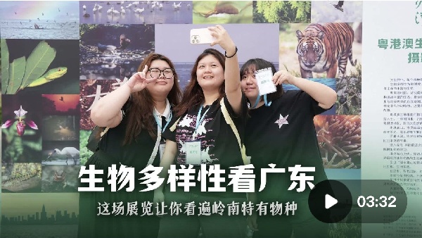 生物多样性看广东｜这场展览让你看遍岭南特有物种