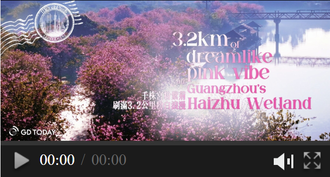 3.2 km of dreamlike pink vibe in Guangzhou's Haizhu Wetland | MicroInPixels