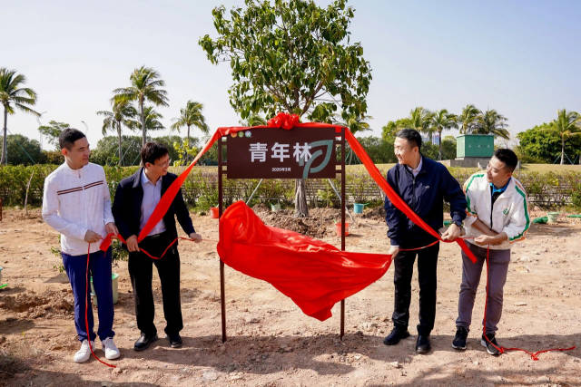 凝聚青春力量！粤港澳青年在横琴种下一片“青年林”