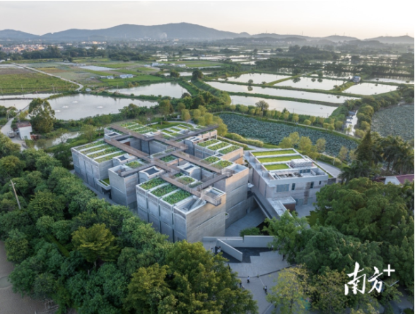 古早Vlogger在花都塱头｜廣而州知①