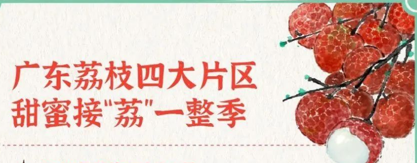广东荔枝，凭什么“甜翻”全国？