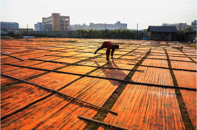 South China's Guangdong to exhibit Lingnan Culture in Rio de Janeiro