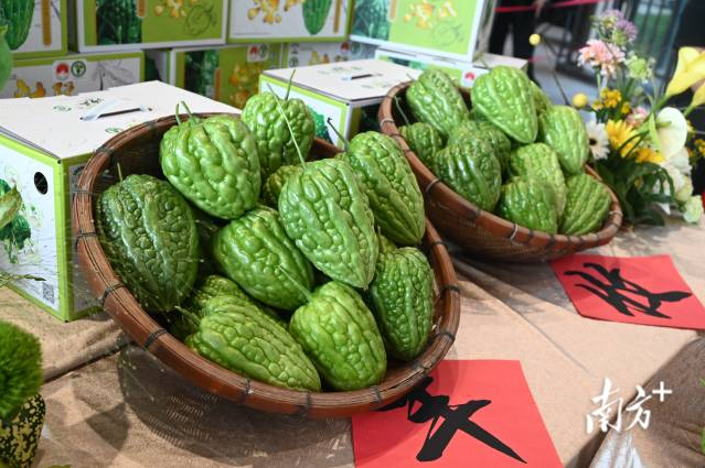 四登央视的江门顶流大“瓜”，越吃越上头