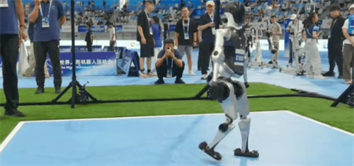 这几天，机器人们开了场运动会