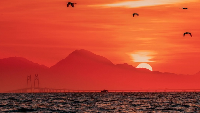 每周精选 | 粤色生香，给广东刷上七种高级感