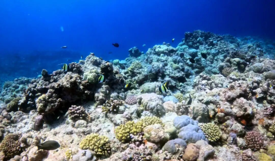 中国在南海行政管理进入新阶段