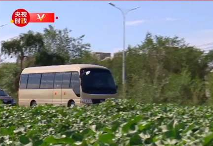 独家视频丨石榴花开映天山——对新疆这片土地 习近平总书记念兹在兹