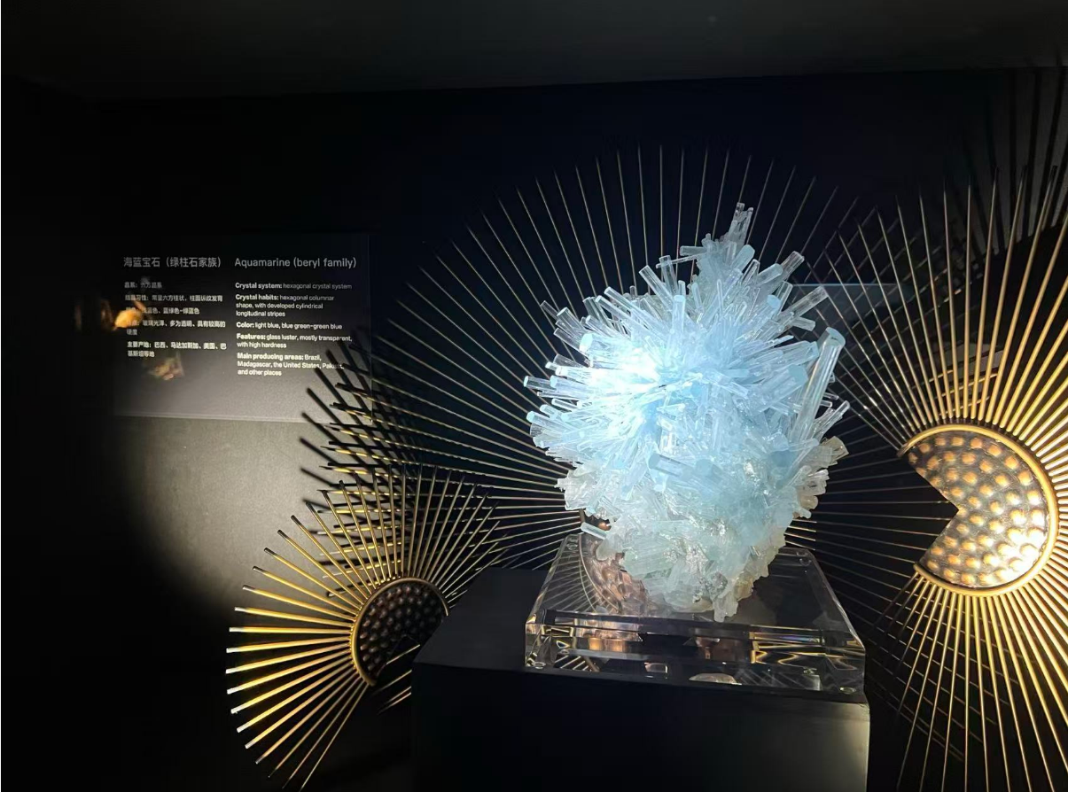 「2025世界華文媒體社長總編輯深圳行」走進深圳珠寶博物館 　感受物華天寶帶來的藝術魅力