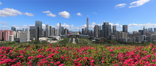 深圳接棒APEC盛會全球華媒共抒心聲 