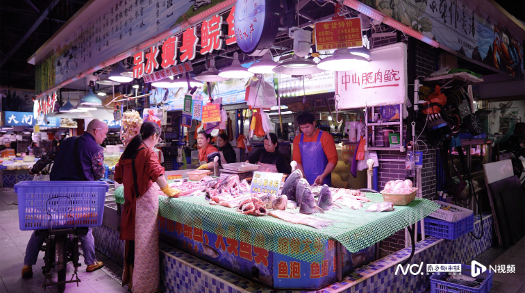 佛山秋假“鱼档少年”走红背后：最好的课堂在身边的烟火日常