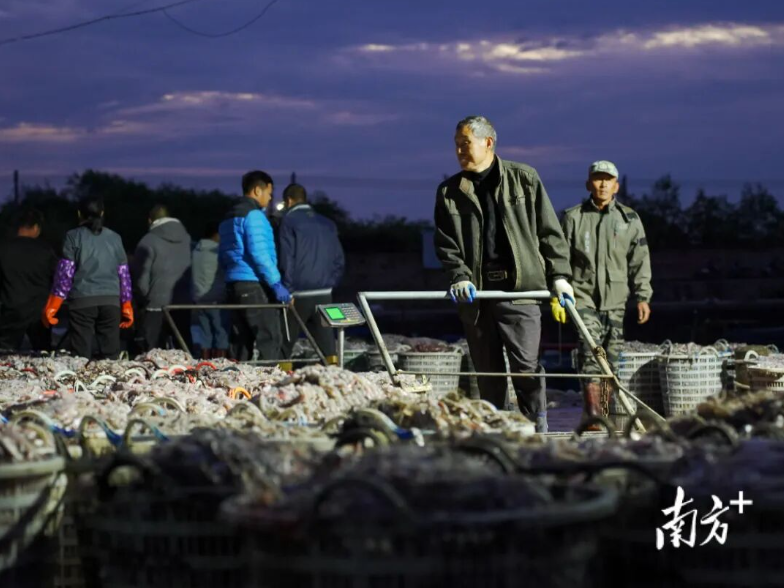 潮州这几天为何这么“劳热”