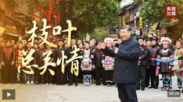 时政微视频丨枝叶总关情