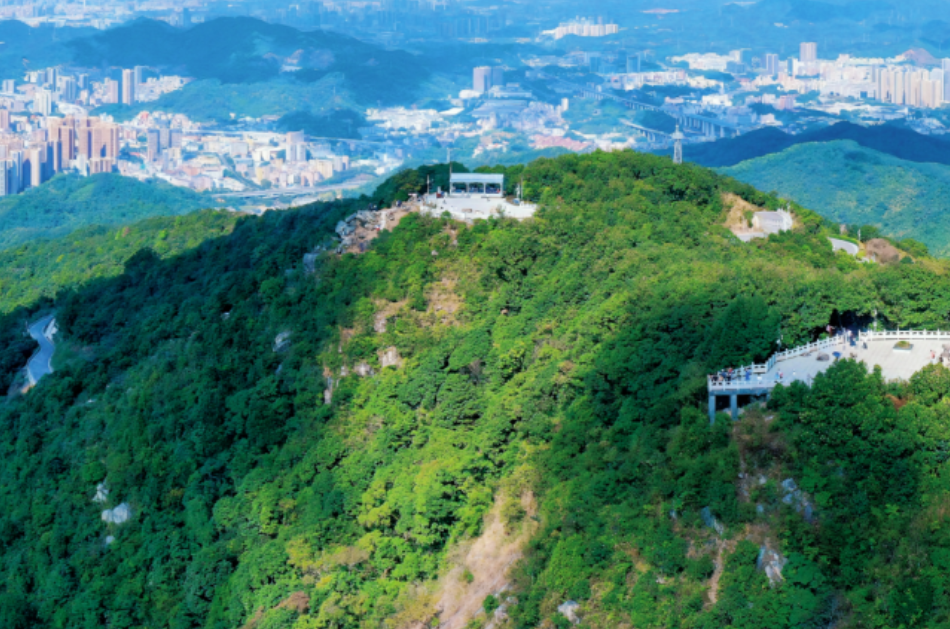 深圳，科技之城也是旅游顶流