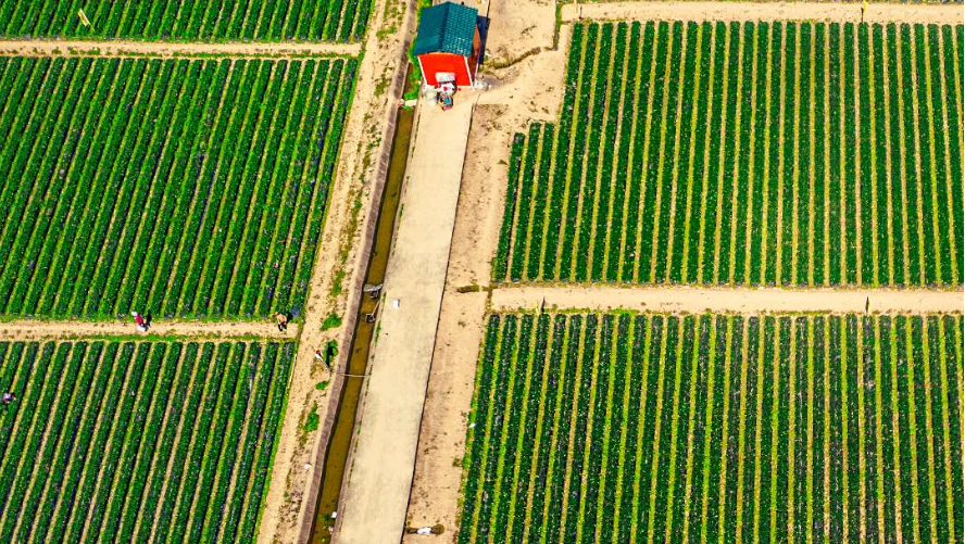 一组图了解政府工作报告中的新提法