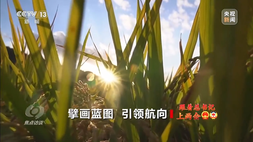 焦点访谈丨擘画蓝图 引领未来——跟着总书记上两会