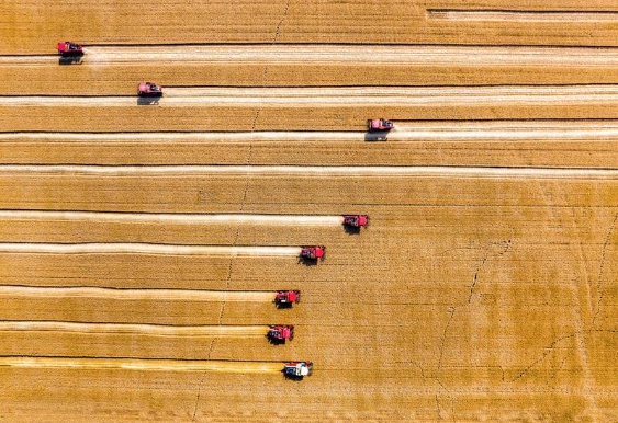 习近平的两会时间丨“搞农业要把种业搞上去”