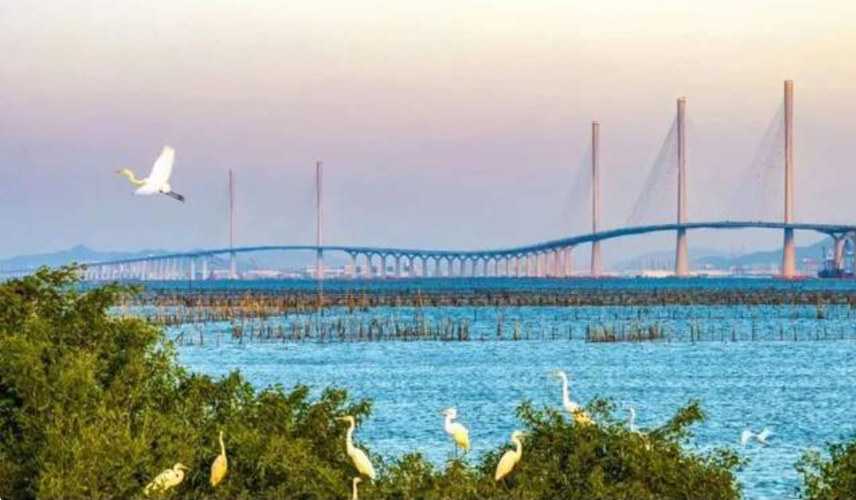 潮涌湾区风正劲 “五好”江门启新程