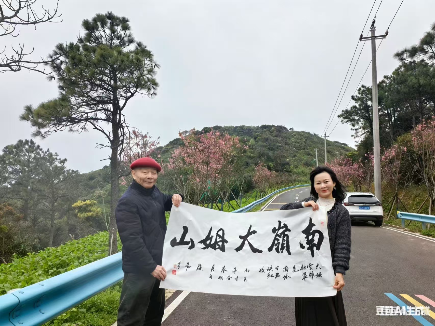 墨韵铸山韵 侨心连五洲——著名书画家孙磊院长为福建南岭大姆山文旅挥毫题字