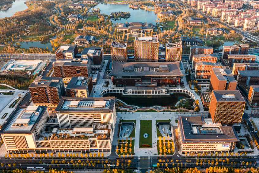 潮头观澜丨千年大计 拔节生长