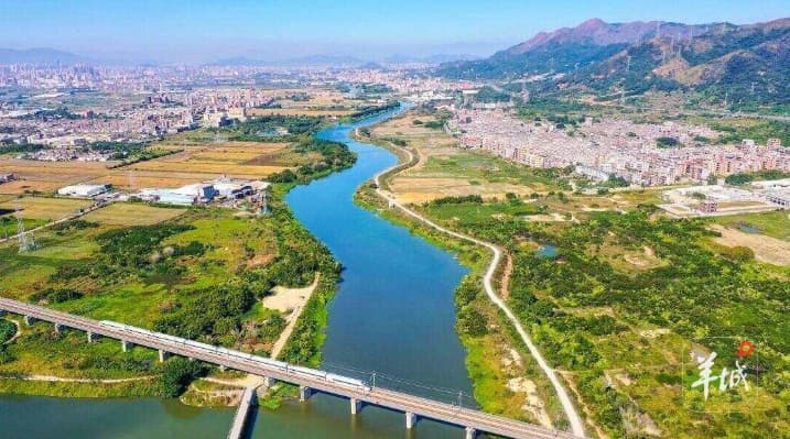 浊清之间 水乡归来 龙舟竞渡见证广东二十余载治水攻坚