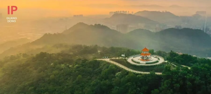 带上一封情书，走进东南亚的夏