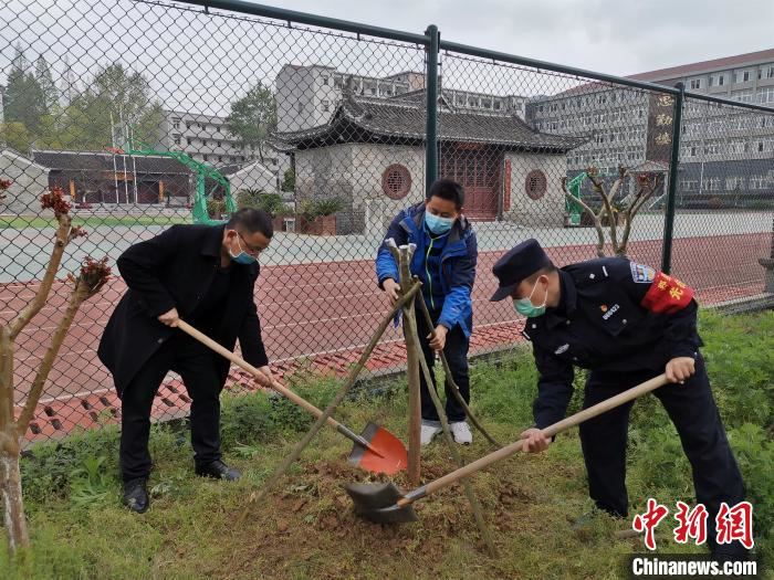 图为南漳民警和群众代表为郑勇种下“纪念林” 龚轩 摄 图为南漳民警和群众代表为郑勇种下“纪念林” 龚轩 摄