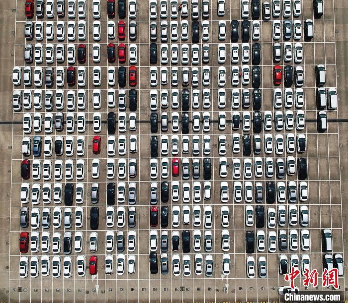 航拍在海通码头等待出口的整车。(资料照片) 殷立勤 摄