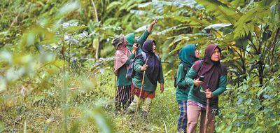 实现碳中和，需要全球合作应对