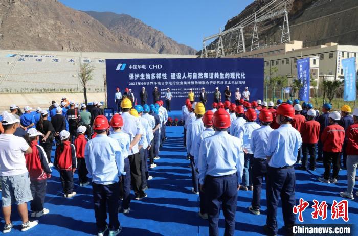 图为苏洼龙水电站鱼类放流现场。 苏洼龙水电站供图 图为苏洼龙水电站鱼类放流现场。 苏洼龙水电站供图