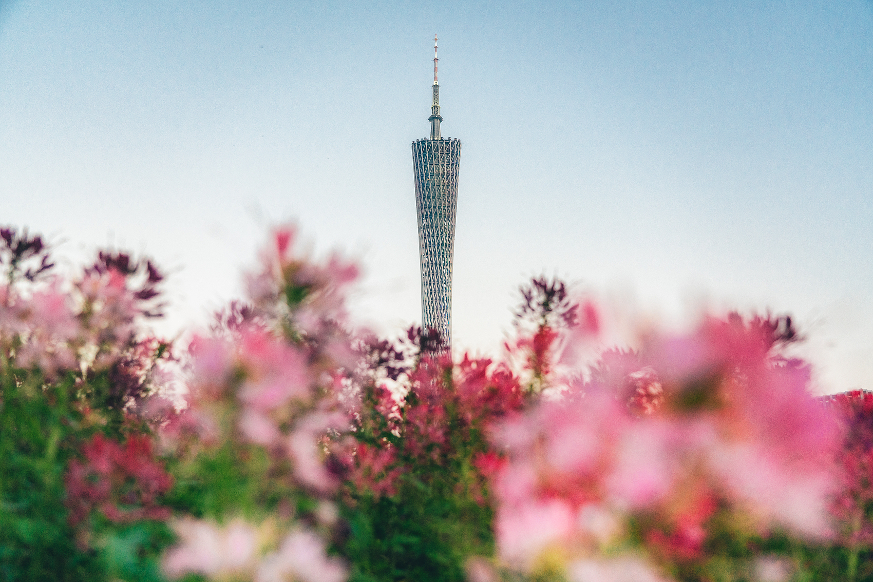 一路繁花此相逢——这个春节，请到广东乡村过大年