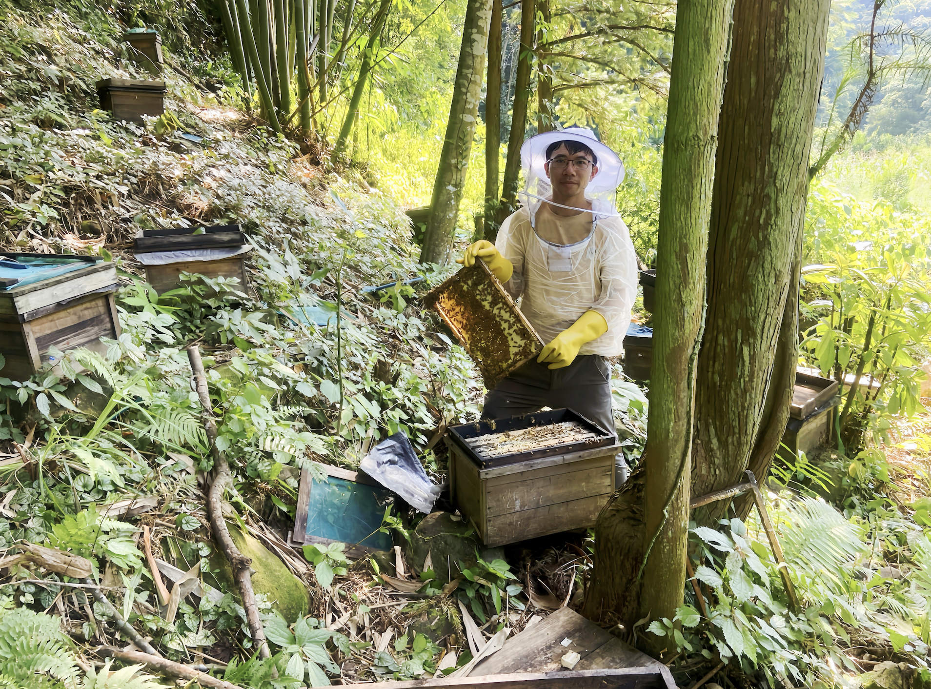“信心稳”的广东写照：百年老店开拓新品，蜂农看好销量大涨