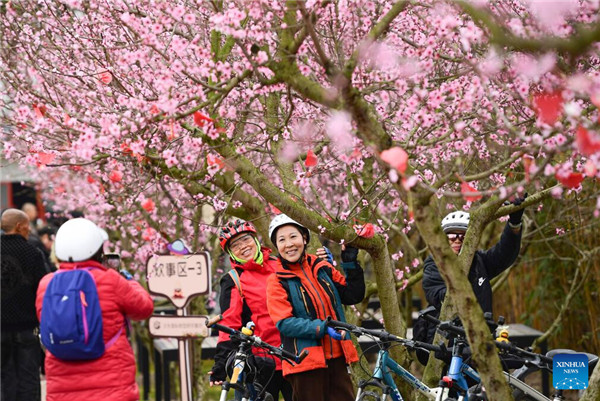 People enjoy spring blossoms across China
