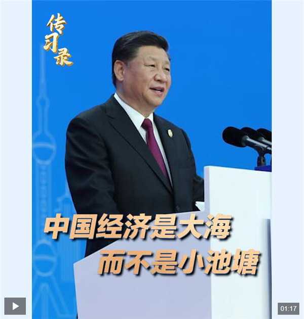 传习录丨中国经济是大海 而不是小池塘