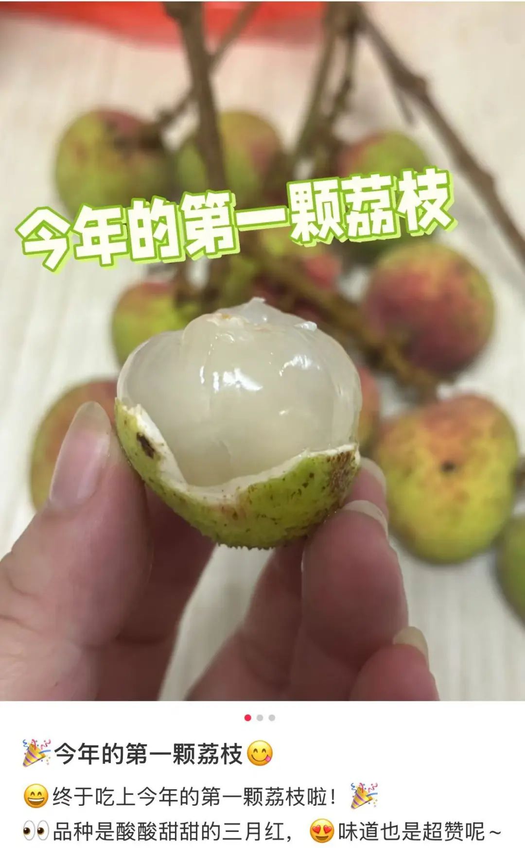 12城果园直达！广东喊你来吃荔枝了