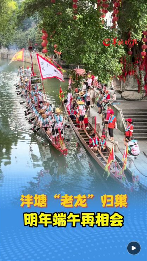 图集+视频｜泮塘“老龙”归巢，明年端午再相会