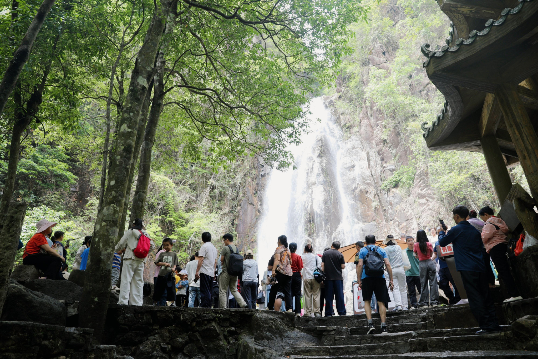 廣西賀州農文旅品牌港味漸濃　兩地交融譜新篇