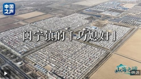 山海之间丨闽宁镇的“巧媳妇”